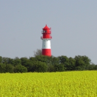 Leuchtturm Falshöft während der Rapsblüte